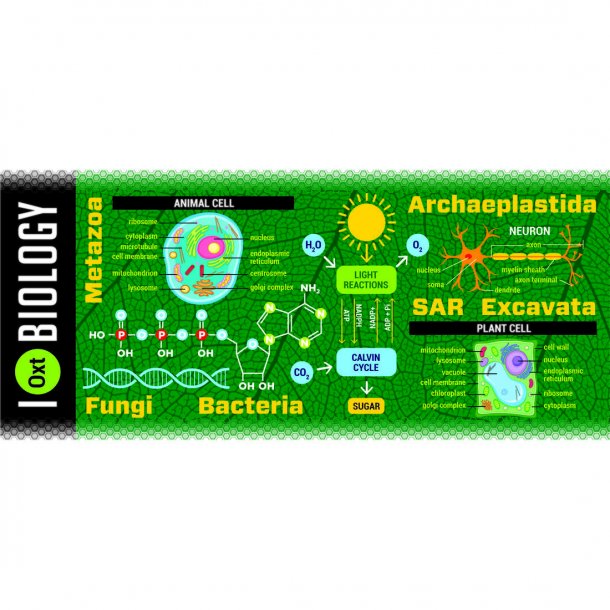 Videnskabs krus, biologi
