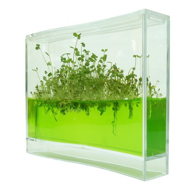 Plantarium Super : Plantarium